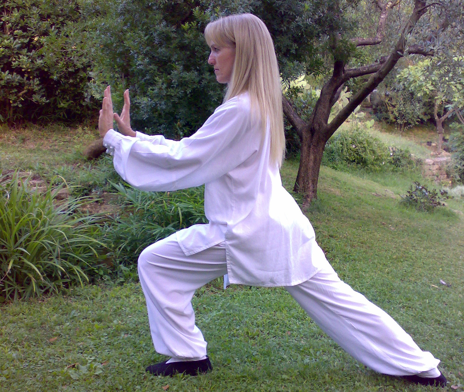 Immagine associata al Tai Ji Quan