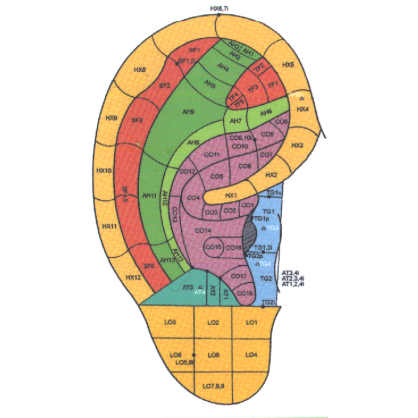 Mappa della Accademia di Medicina Tradizionale Cinese di Nanchino